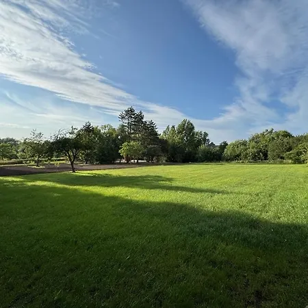 Les Pins - Maison Cosy Et Calme A Ardres