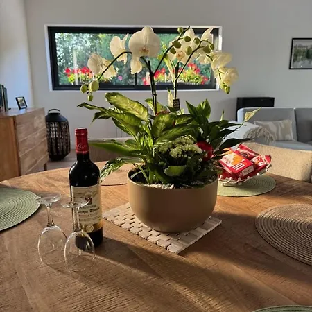 Les Pins - Maison Cosy Et Calme A 펜션 *